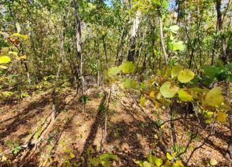 Участок на продажу, 22 сот., село Новопетровка