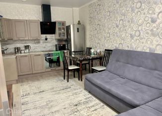 Сдача в аренду 2-комнатной квартиры, 45 м2, Челябинск, проспект Героя России Е.Н. Родионова, 17, ЖК Ньютон