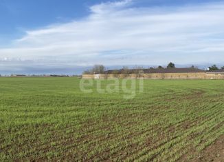 Продам земельный участок, 6 сот., село Михайловка