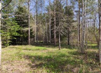 Продажа дома, 59.5 м2, поселок городского типа Дружная Горка, Красницкая улица, 15