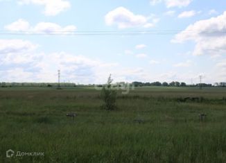 Продается земельный участок, 12 сот., село Фёдоровка, улица Ленина