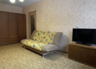 Сдается 1-комнатная квартира, 33.5 м2, Санкт-Петербург, Ольховая улица, 20, Ольховая улица