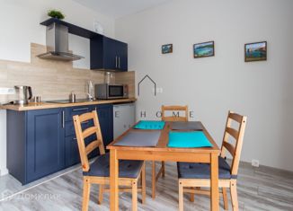 Аренда квартиры студии, 31 м2, Санкт-Петербург, Новолитовская улица, 10, ЖК Лайф-Лесная