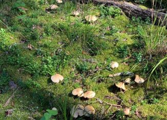 Продается земельный участок, 5.9 сот., поселок Реконструктор