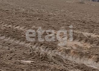 Продам земельный участок, 12 сот., деревня Шемякино