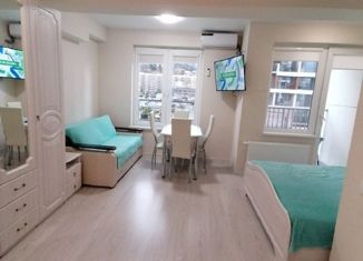 Продажа квартиры студии, 28 м2, посёлок городского типа Дагомыс, Старошоссейная улица, 5к2