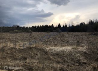 Продам участок, 440 сот., деревня Мишуково