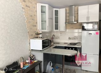 Продажа квартиры студии, 24 м2, деревня Лопатино, Сухановская улица, 17