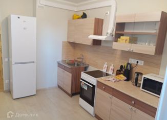 Продаю 2-комнатную квартиру, 59.4 м2, Мурино, проспект Авиаторов Балтики, 7, ЖК Виктория