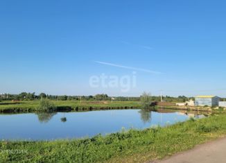 Продается земельный участок, 15 сот., село Каменка