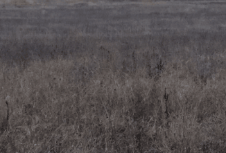 Продам участок, 10 сот., село Красная Зорька, квартал Кичкене, 5