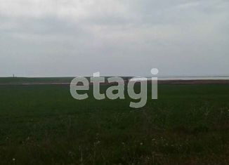 Продажа участка, 200 сот., село Фрунзе, площадь имени М.К. Дорохина