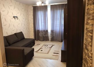 Продается квартира студия, 27 м2, село Осиновая Гора, 1-й Восточный проезд, 8