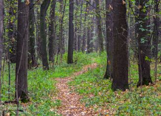 Продается земельный участок, 40 сот., поселок Николина Гора