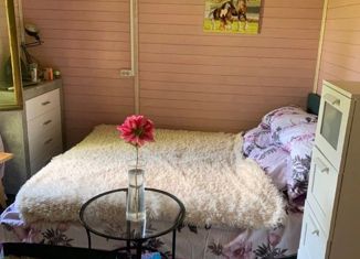 Дом на продажу, 37 м2, деревня Горки