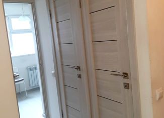 Продажа 1-комнатной квартиры, 32.5 м2, Санкт-Петербург, улица Шостаковича, 5к3, улица Шостаковича