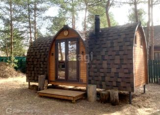 Дом на продажу, 20 м2, дачный посёлок Земляничная поляна, Рябиновый переулок, 58