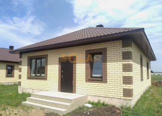 Продается дом, 100 м2, деревня Елкибаево, Деловая улица, 15В