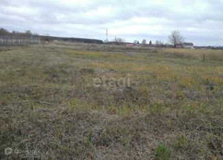 Продается земельный участок, 10 сот., село Нелжа, улица Мира