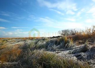 Продажа участка, 8140 сот., Шимское городское поселение