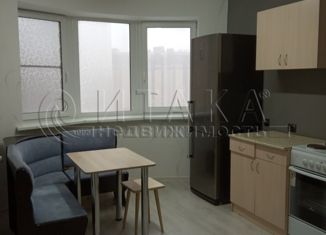 Сдается в аренду 1-комнатная квартира, 41 м2, Санкт-Петербург, улица Михаила Дудина, 25к2, улица Михаила Дудина