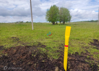 Продам участок, 29.9 сот., деревня Алайгирово, Полевая улица