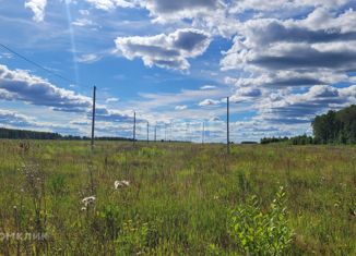 Продам участок, 10 сот., деревня Нолька, Центральная улица