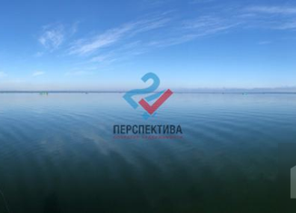Продаю дом, 350 м2, село Веськово, улица Петра Первого, 54В