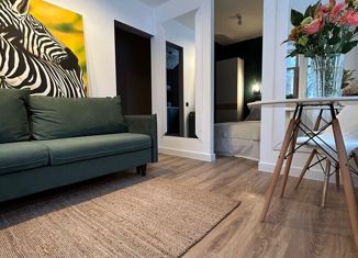 Продажа однокомнатной квартиры, 30.1 м2, Москва, Денисовский переулок, 8/14, метро Бауманская