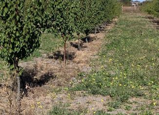 Продаю участок, 300 сот., село Кринички