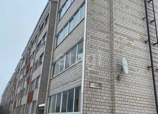 Продается квартира студия, 27 м2, деревня Хохряки, Тепличная улица, 30