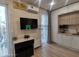 Сдаю в аренду квартиру студию, 24 м2, Курган, улица Коли Мяготина, 179