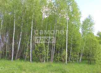 Продажа участка, 11 сот., деревня Скрипово, Школьная улица, 30