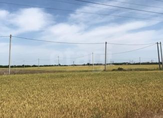 Продажа земельного участка, 5 сот., СНТ Белгорос, Новгородская улица