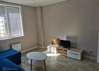 Аренда 1-ком. квартиры, 40 м2, Красноярск, улица Петра Ломако, 16, Советский район