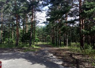 Продаю земельный участок, 1203.84 сот., деревня Ладога