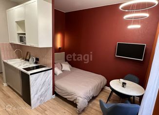 Продаю квартиру студию, 20 м2, Екатеринбург, Красный переулок, 13, метро Динамо