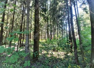 Продажа земельного участка, 57 сот., деревня Николо-Черкизово