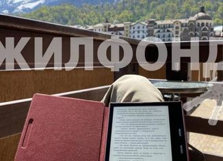 Продаю 1-ком. квартиру, 24 м2, село Эстосадок, Берёзовая улица, 5