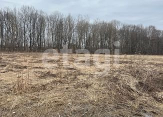 Продаю земельный участок, 42.9 сот., село Зайцево, Берёзовая улица, 29