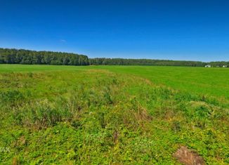 Продажа участка, 100 сот., деревня Прохорово, Берёзовая улица