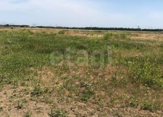 Продается участок, 5 сот., хутор Новоалександровка, Луговой переулок