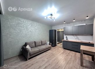Квартира в аренду студия, 31 м2, посёлок Шушары, Новгородский проспект, 2к3