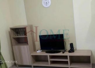 Сдается в аренду однокомнатная квартира, 28 м2, Новосибирск, улица Костычева, 36, улица Костычева