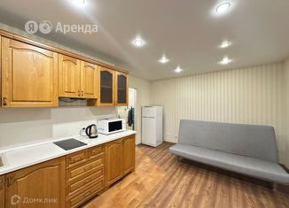 Аренда квартиры студии, 23 м2, Краснодар, улица Западный Обход, 42к6, ЖК Спортивная деревня