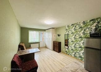 Сдается в аренду квартира студия, 26.3 м2, городской посёлок Янино-1, Голландская улица, 10