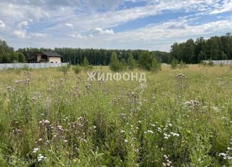 Участок на продажу, 25 сот., село Новокаменка