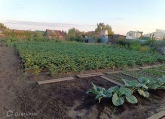 Продаю земельный участок, 600 сот., СНТ Чайка, 9-я улица