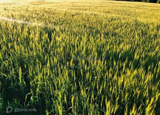 Продажа земельного участка, 30 сот., деревня Большое Покровское