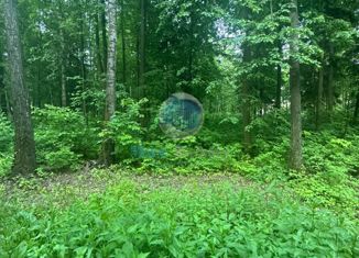 Участок на продажу, 4.7 сот., деревня Малое Видное